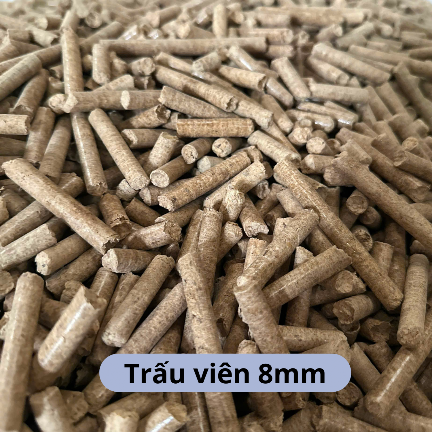 Trấu viên 8mm