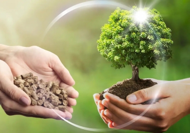 Ưu điểm nổi bật của củi trấu dạng thanh